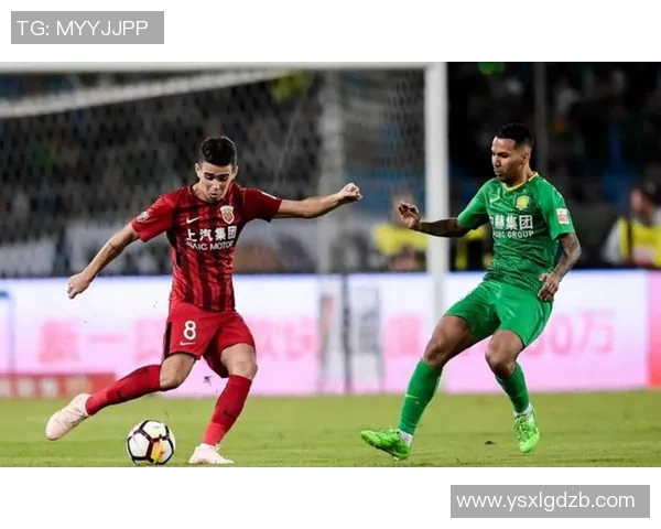 重庆羽毛球队节奏争议引发热议球迷与专家各执己见探讨背后原因